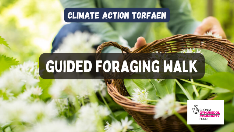 Guided foraging walk