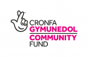 digital-white-background Cronfa Gymunedol / Community Fund logo