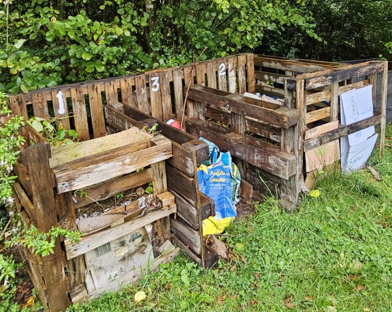 Composting workshop: A complete guide