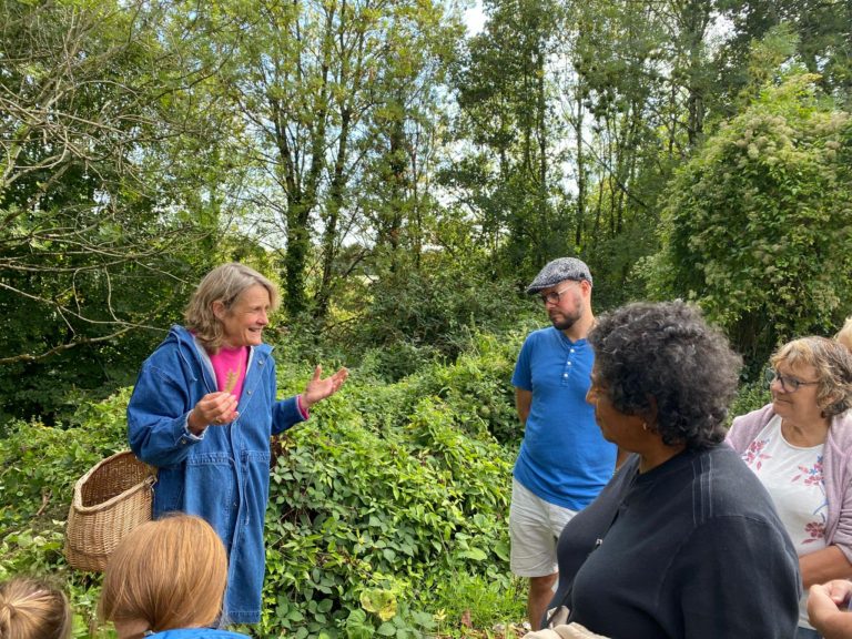 Foraging for wild foods