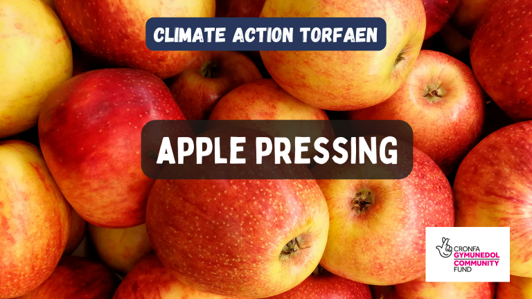 Apple pressing at Llanyrafon Manor!