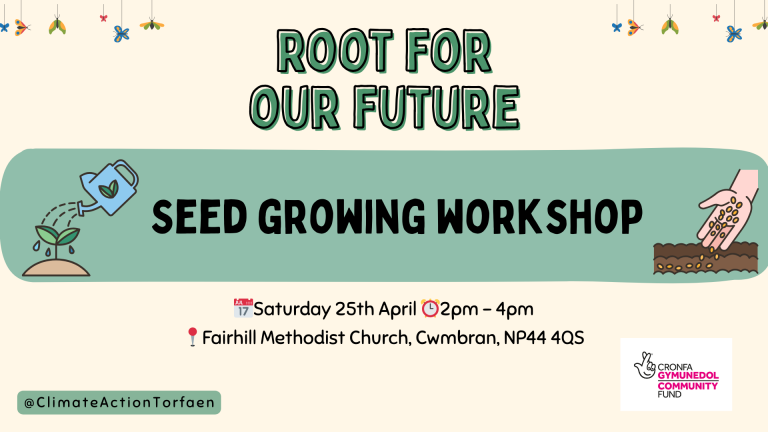 Spring seed growing workshop!